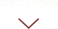 scroll_icon